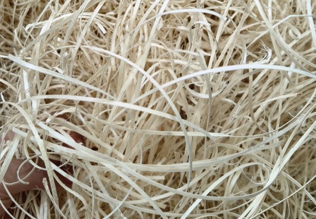 Detailed image (9)